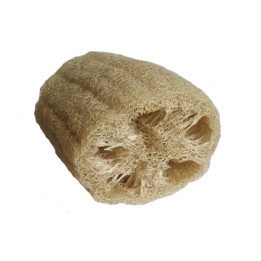 Gąbka Loofa 10cm